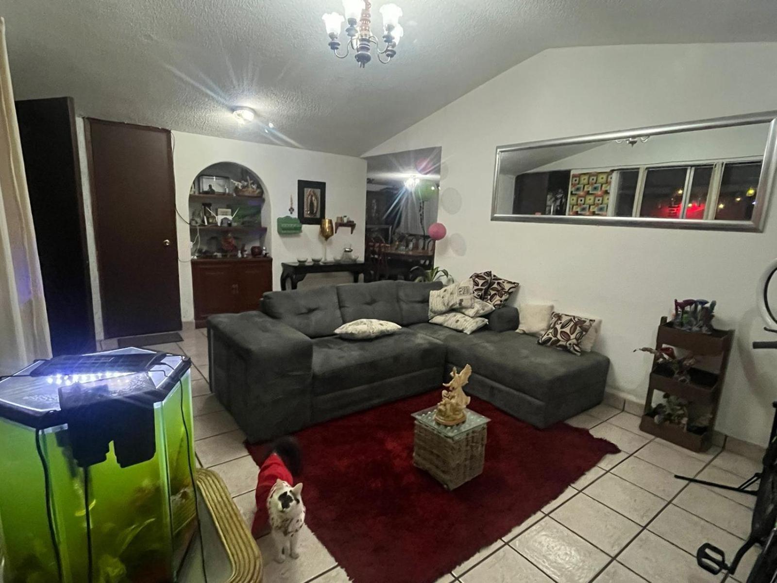 Las Rosas メキシコシティ エクステリア 写真