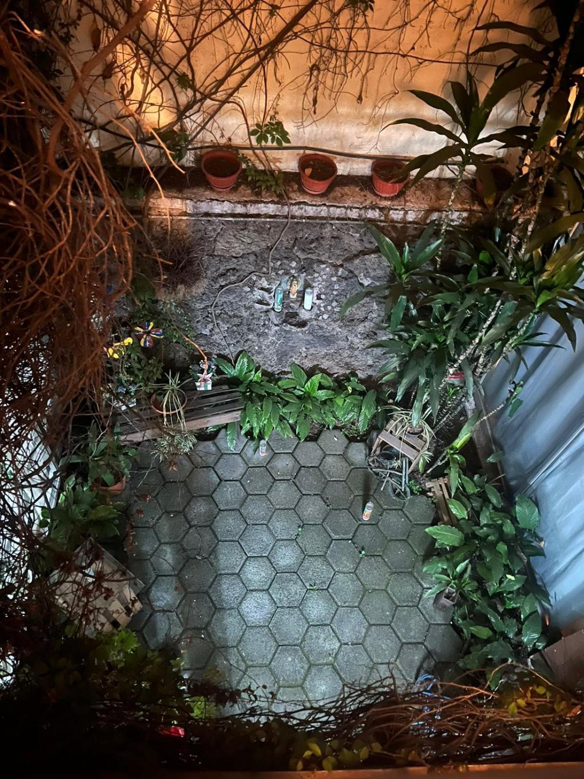 Las Rosas メキシコシティ エクステリア 写真